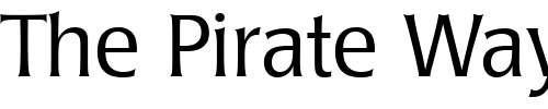 Font : Poppl-Laudatio-Light 2 Custom Text : The Pirate Way Test your own text here Click to download or to view this font on a tshirt that can be custom printed in Bali